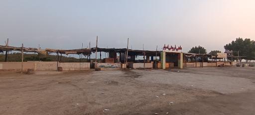 عکس بازار ماهی و میگو فروشان هلر 