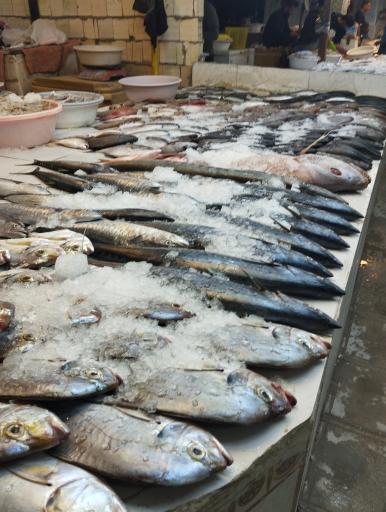 عکس بازار ماهی و میگو فروشان هلر 