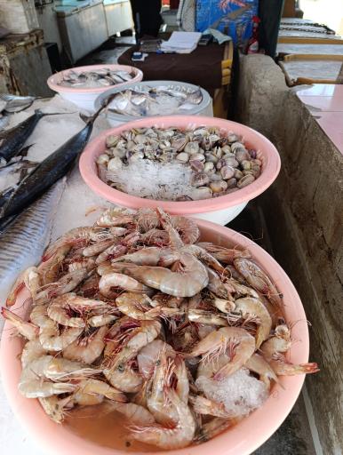 عکس بازار ماهی و میگو فروشان هلر 