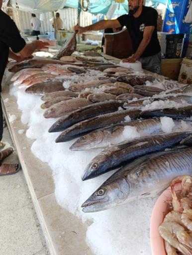 عکس بازار ماهی و میگو فروشان هلر 