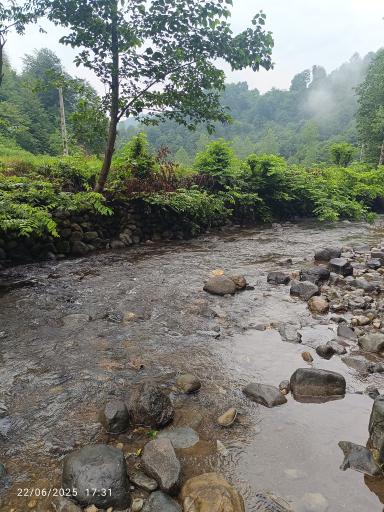 عکس پارک جنگلی خرما (خرما سیسکوه)