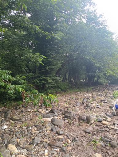 عکس پارک جنگلی خرما (خرما سیسکوه)