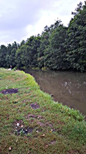 عکس پارک جنگلی خرما (خرما سیسکوه)