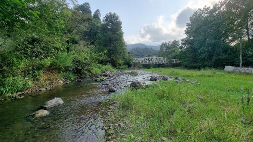 عکس پارک جنگلی خرما (خرما سیسکوه)