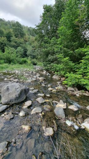 عکس پارک جنگلی خرما (خرما سیسکوه)