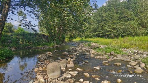 عکس پارک جنگلی خرما (خرما سیسکوه)