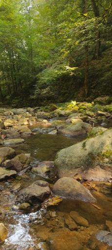 عکس پارک جنگلی خرما (خرما سیسکوه)