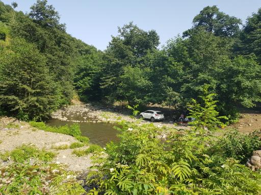 عکس پارک جنگلی خرما (خرما سیسکوه)