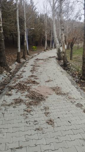 عکس مجتمع تفریحی ،ورزشی دهکده