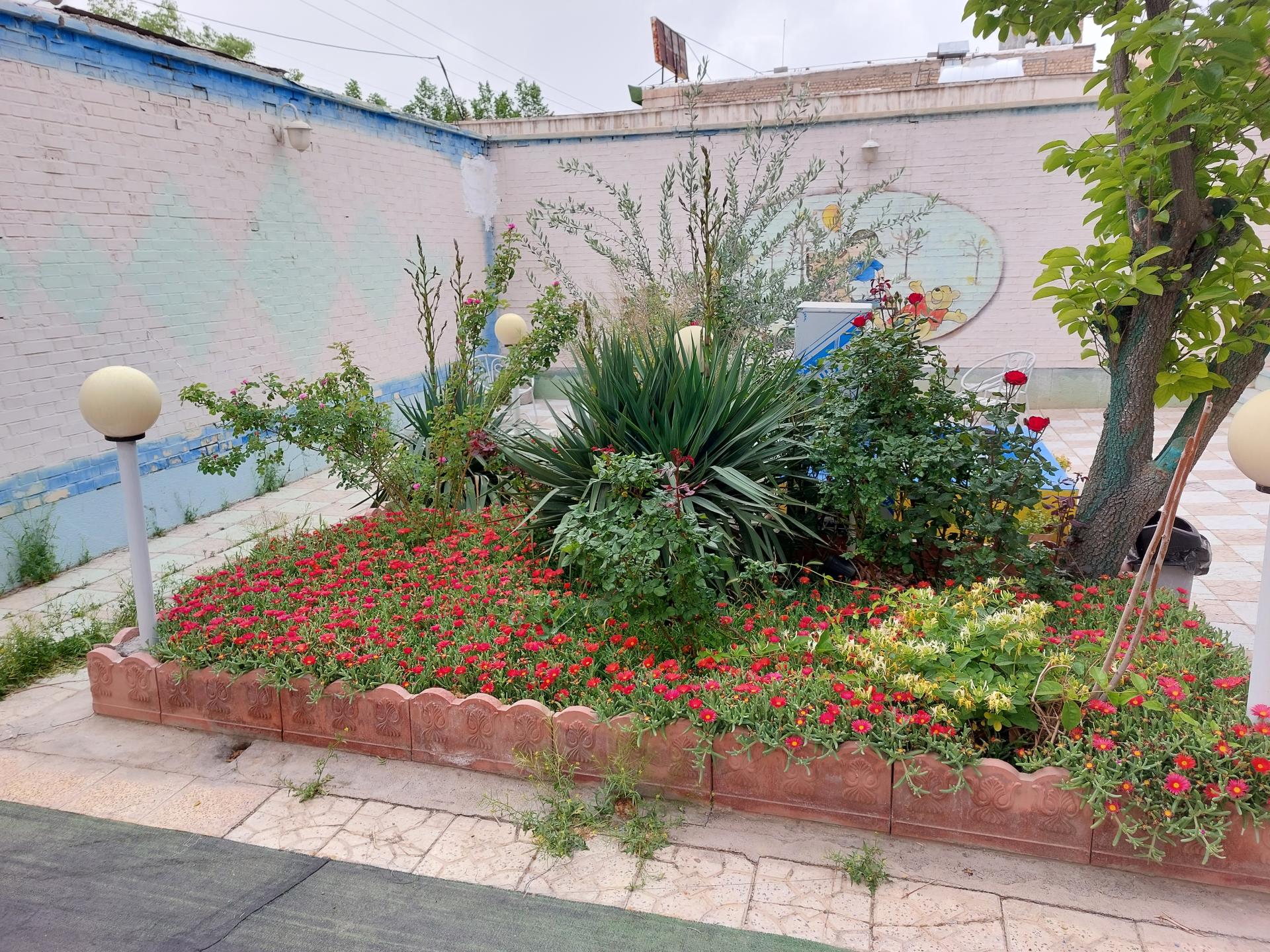 عکس آموزشگاه زبان سفیر