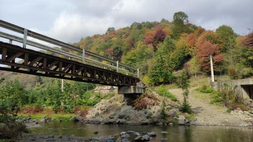 عکس پارک جنگلی خرما (خرما سیسکوه)