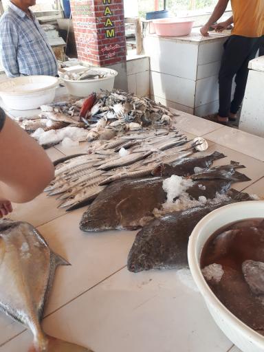 عکس بازار ماهی و میگو فروشان هلر 