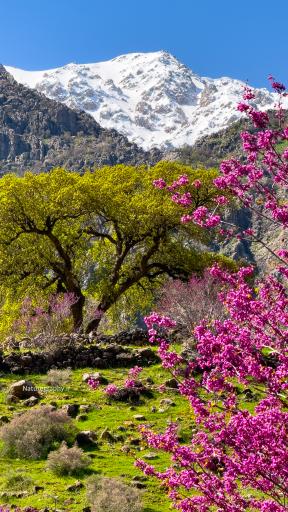 پارک جنگلی طاق بستان (پارک شرقی)