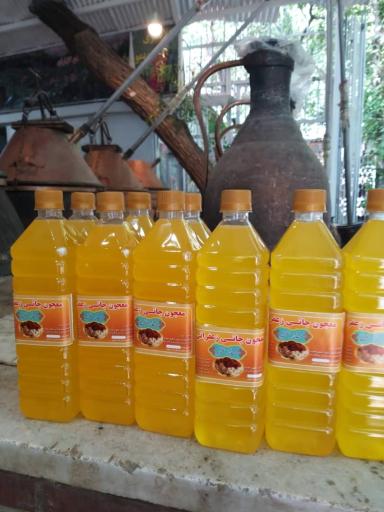 عکس گلاب غنچه نیاسر