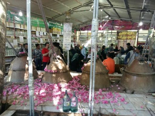 عکس گلاب غنچه نیاسر