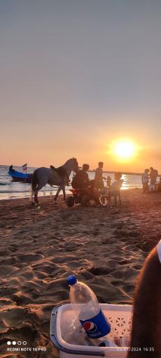 عکس بوستان ساحلی سورو