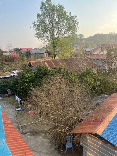 عکس اقامتگاه شاه ماهی