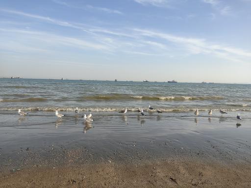 عکس بوستان ساحلی سورو