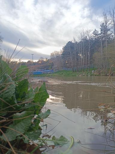 عکس پارک جنگلی طاق بستان (پارک شرقی)