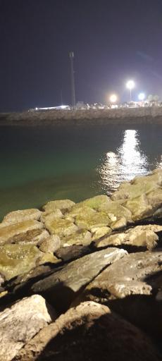 بوستان ساحلی سورو