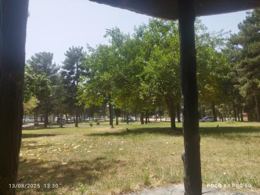 عکس پارک جنگلی طاق بستان (پارک شرقی)