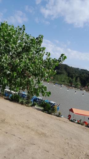 عکس اقامتگاه شاه ماهی