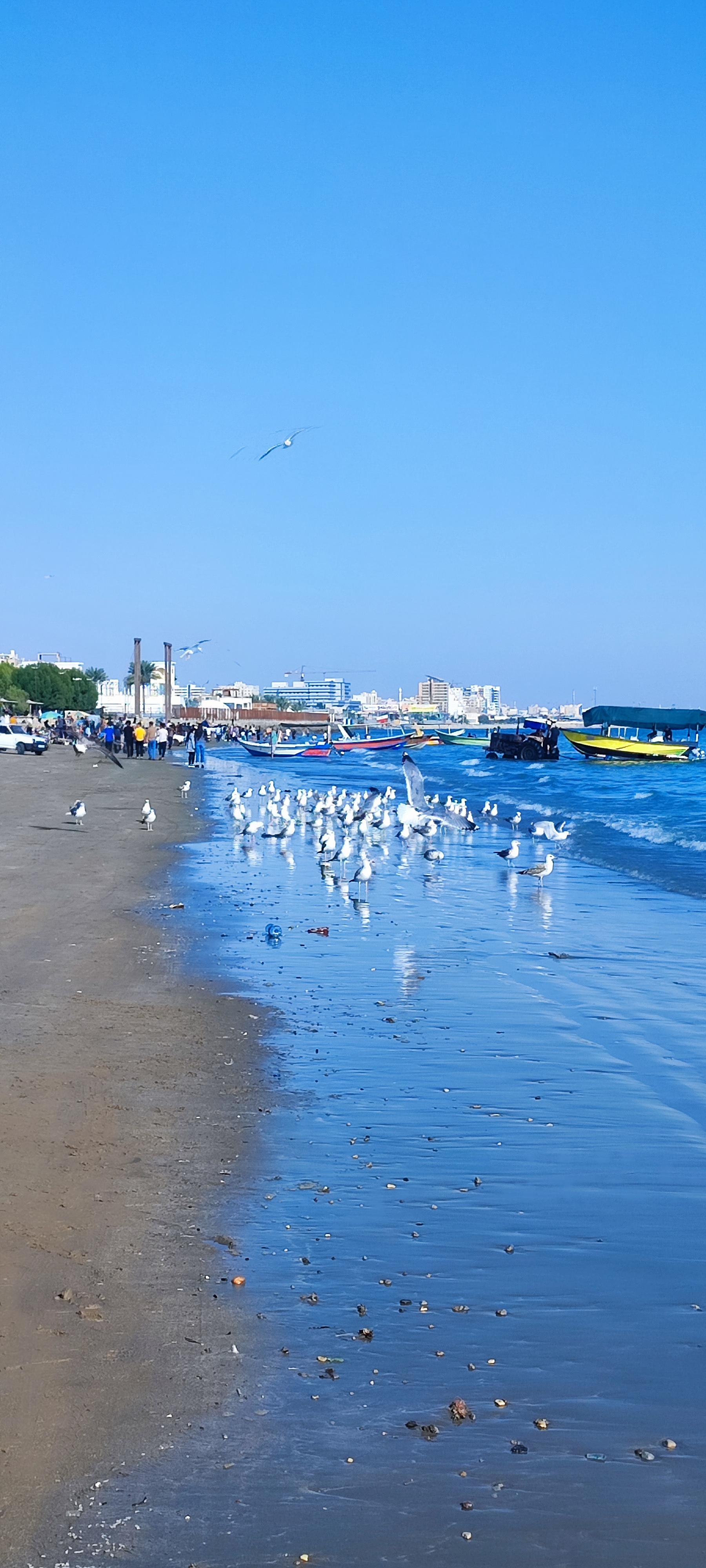 عکس بوستان ساحلی سورو