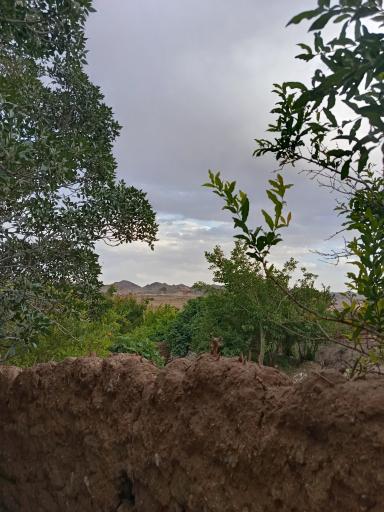 عکس سهیل