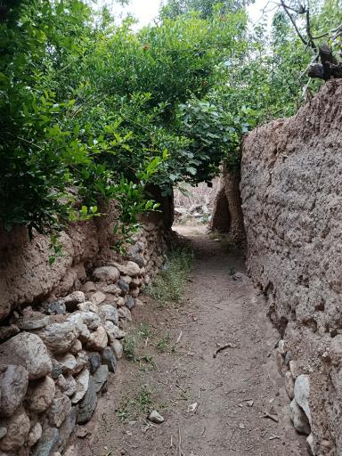 عکس سهیل