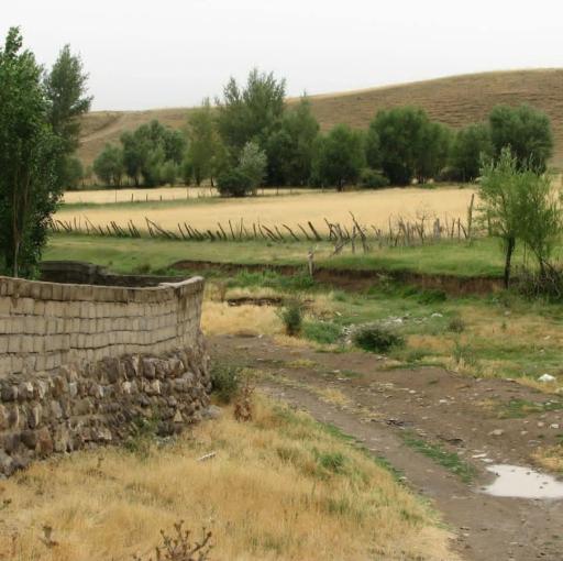 عکس حاجی محمود