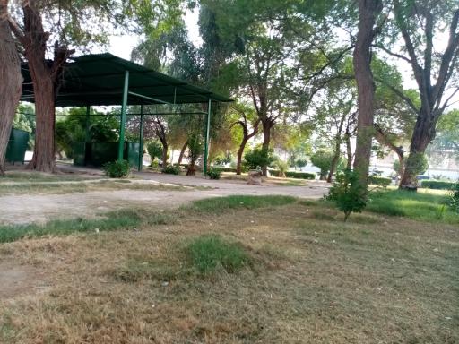 عکس پارک آلاله