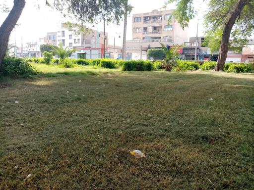 عکس پارک آلاله