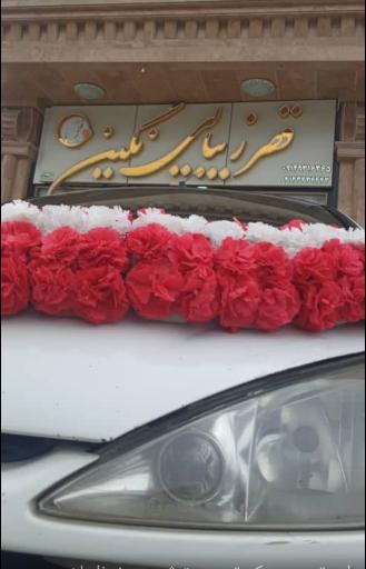 عکس قصر زیبایی نگین