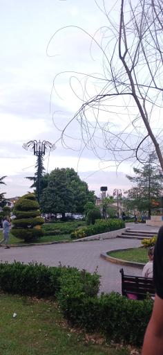 عکس باغ ملی (پارک بعثت)