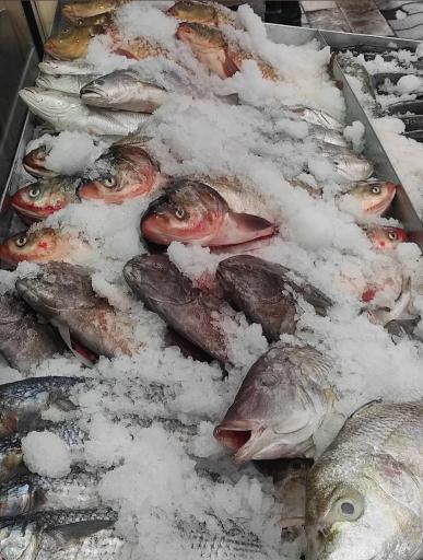 عکس گوشت و مرغ صدف