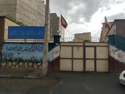عکس دبستان دولتی  پسرانه ۱۲ بهمن 