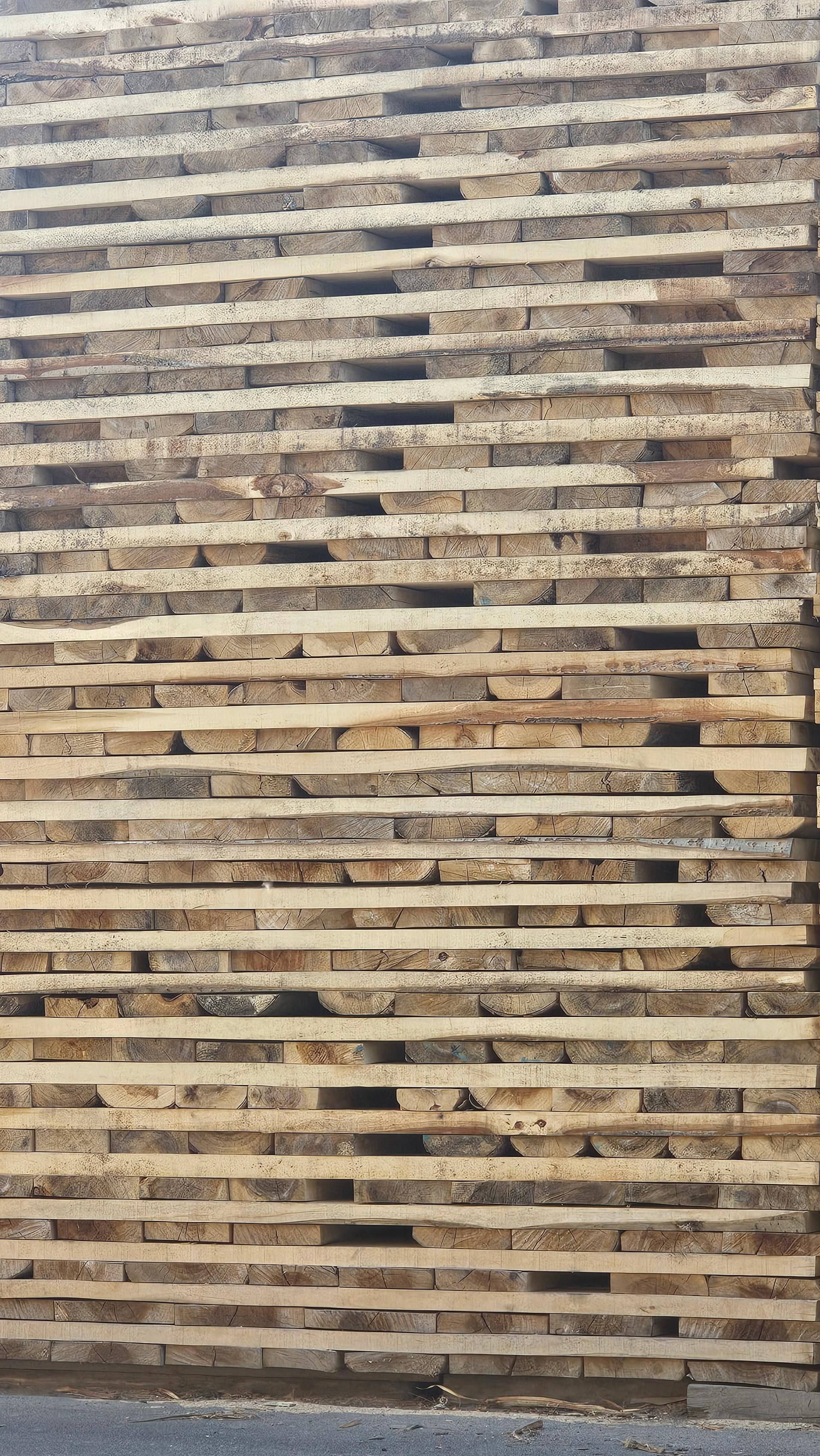 عکس چوب فروشی شکوری