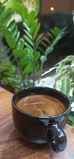 عکس کافه گیلاکو