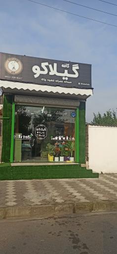 عکس کافه گیلاکو