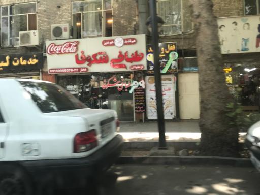 عکس طباخی شکوفا