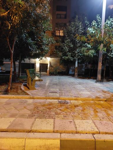 عکس میدان شصت و یکم