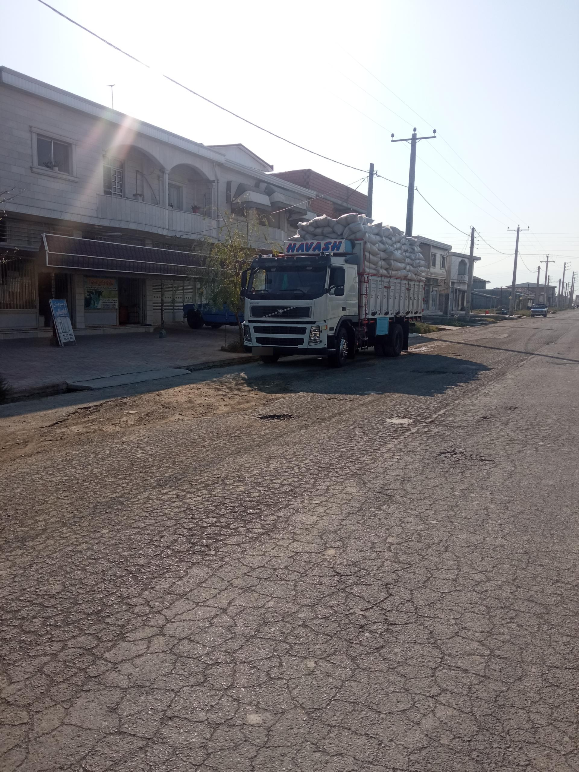 عکس علوفه دامی صحرا (دردیی)