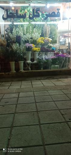 عکس قصر گل ساحل