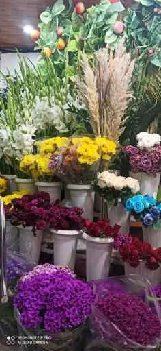 عکس قصر گل ساحل