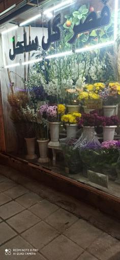 عکس قصر گل ساحل