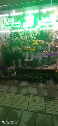 عکس قصر گل ساحل