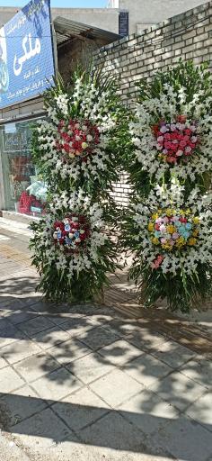 عکس قصر گل ساحل