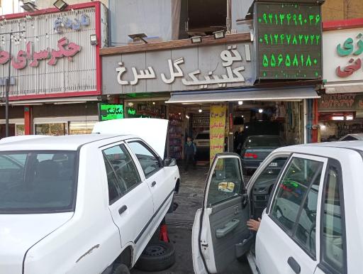 عکس اتوکلینیک گل سرخ