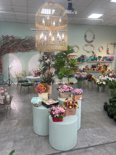 عکس کافه گل دیلا