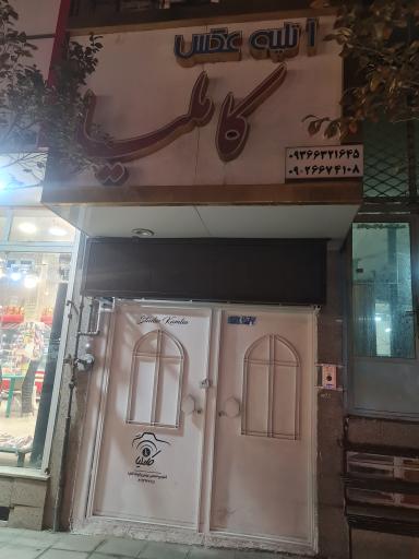 عکس آتلیه عکاسی کاملیا
